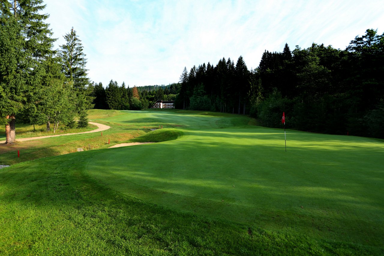Golf Resort Tále Gray Bear